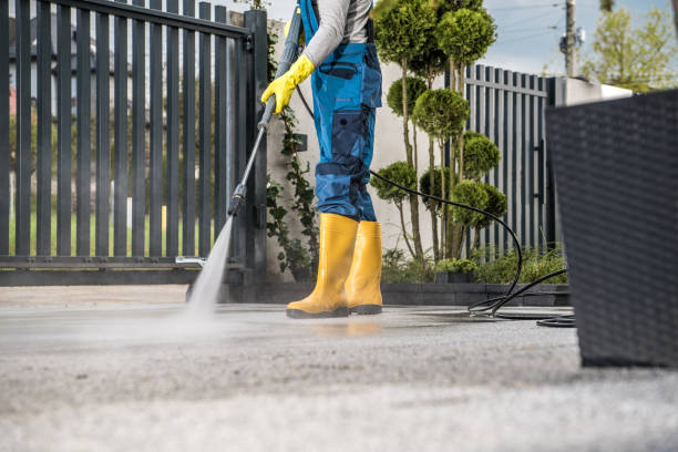 Best Sidewalk and Walkway Cleaning  in Dry Ridge, OH